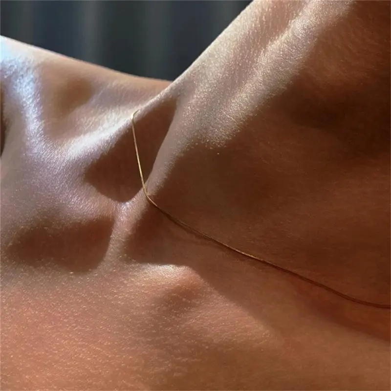 Vintage Gold Color Stainless Steel Snake Chain Necklace For Women Fashion Clavicle Chain Necklace Men Party Jewelry Accessories Vintage Gold Color Stainless Steel Snake Chain Necklace For Women Fashion Clavicle Chain Necklace Men Party Jewelry Accessories