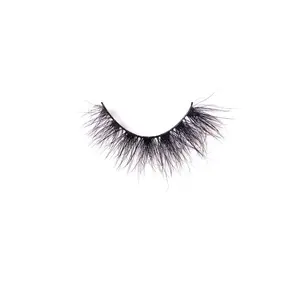halloween 2023 midnight lash