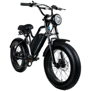 30MPH Retro Fat Tire Ebike  1000W Power, 55-Mile Range & 20” All-Terrain Tires  Electric Dirt Bike