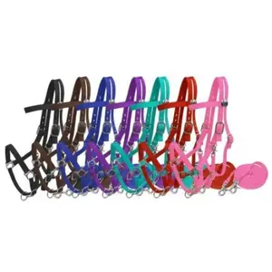 Nylon Combination Halter Bridle with Reins