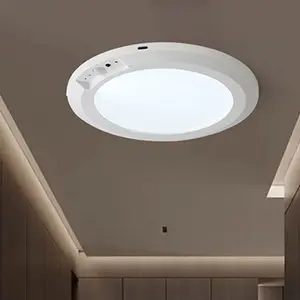 Magnetic Motion Sensor Ceiling Light with Remote - 120° Detection, Tool-Free Installation, USB Rechargeable, 3 Light Modes, Waterproof & Dustproof, 60-Day Battery Life
