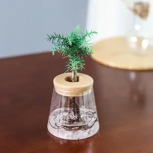 Mini Hydroponic Flower Pot Home Vase Decor Home Decorative Vase Transparent Imitation Glass Soilless Plant Pots Green Plants Pot For Home Decoration