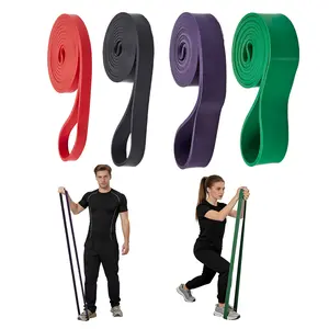 4/5pcs Pull Up Assistance Bands Set - Latex Resistance Bands for Strength Training, Physical Therapy, Home Gym Workout for Men & Women - Regular 15-125 lbs