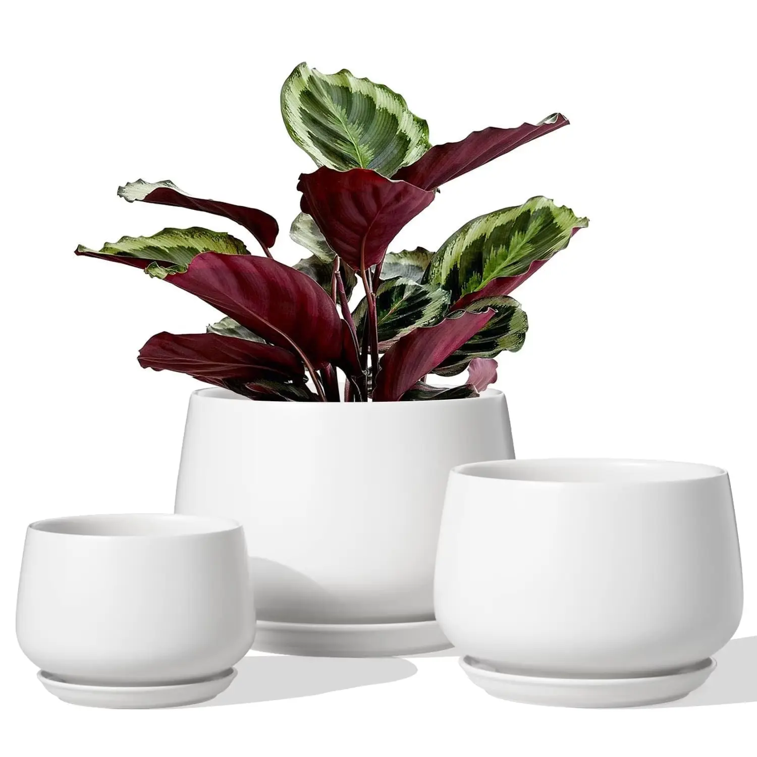 Home Modern Round White Ceramic Plant Pots Set (3 Sizes, Pack of 3) with Drainage Holes, Saucers, Indoor Planters for Room Decor