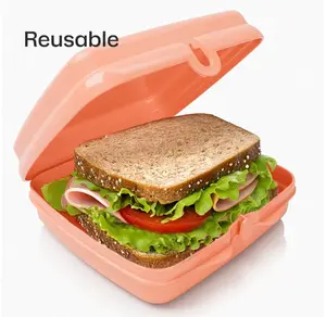 Tupperware Sandwich Keepers - 2 Easy-Open Lunch Boxes for Kids