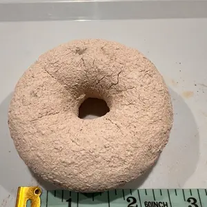 D-CRUJIDOS  White clay in a form of a circle - bimbollo- caolin cremino, brown, terron marfil, and pieces of caolin koko.