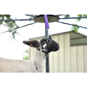 Walker Halter 2.0 Walker Halter 2.0