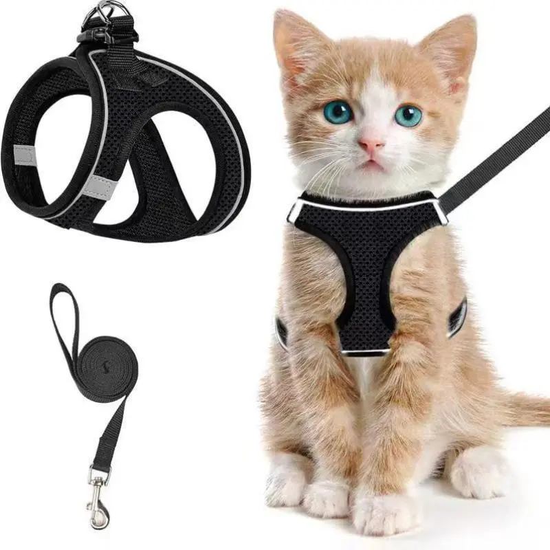 2pcs Adjustable Pet Harness & Leash Set, Breathable Mesh Cat Harness With Leash, Pet Supplies For Outdoor Walking
