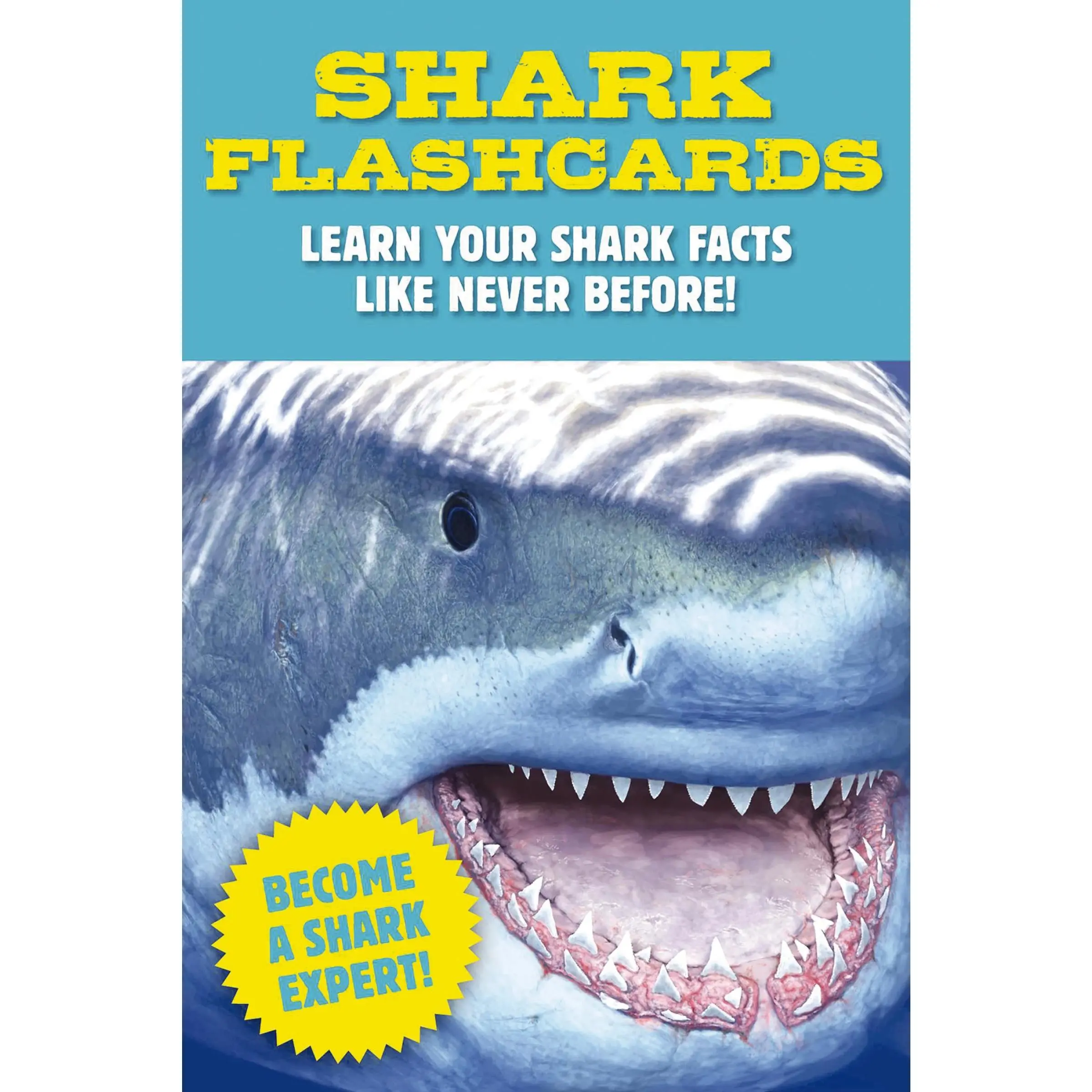 Shark Flashcards: Learn Your Shark Facts Like Never Before! (Sharks, Flash Cards, Marine Biology, Science and Nature, Sharks for Kids) by Julius Csotonyi||Thomas Nelson [Flash Cards]