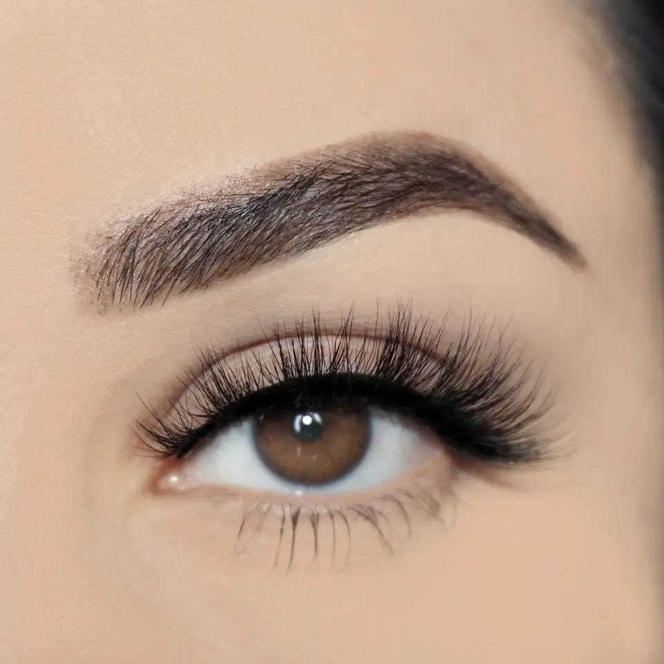 Rosa - False Eye Lash - Reusable Strip Lashes - Makeup and Beauty Accessories