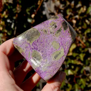 Large Intricate Atlantisite Stichtite Serpentine Crystal Freeform, 383g, South Africa
