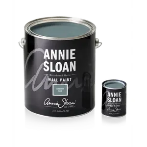 Cambrian Blue Annie Sloan Wall Paint Sample Pot