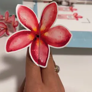 Business Cards Personalizadas | Calidad Premium & Diseño Exclusivo