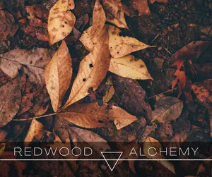 Undergrowth Fragrance