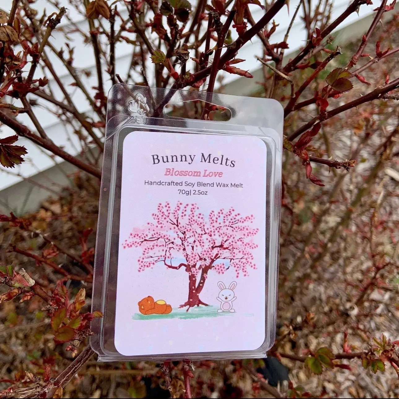 Sakura Delight Wax Melts - Celebrate Spring with the Fragrance of Cherry Blossoms Scent