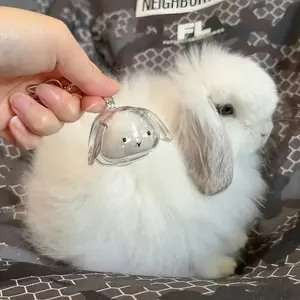 1/4PCS Rabbit Hair Keepsake Ornaments - 4 Breed-Specific Pendant/Keychain for Pet Hair Collection & Memorial, Durable Pet Lover Gift for Birthday, Memorial Day, or Pet Loss Remembrance, Rabbit Accessories, Memorial Day Gift, Handmade Bunny Keychain