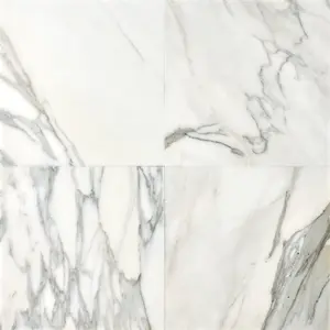 Calacatta Gold  18x18 Polished/Honed Marble Tile