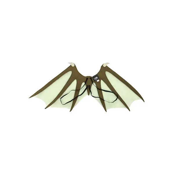 Dragon Wings