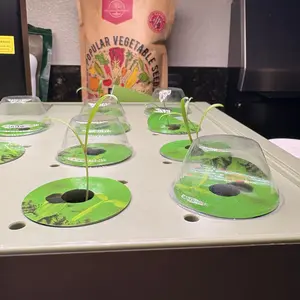 SUNCOZE Hydroponics Growing System Kit 12 Pods/20 Pods, Indoor Herb Garden with Grow Light 20W/24W/30W, 4L/10L Large Water Tank with Adjustable Height, Built-in Pump, Gardening Gifts