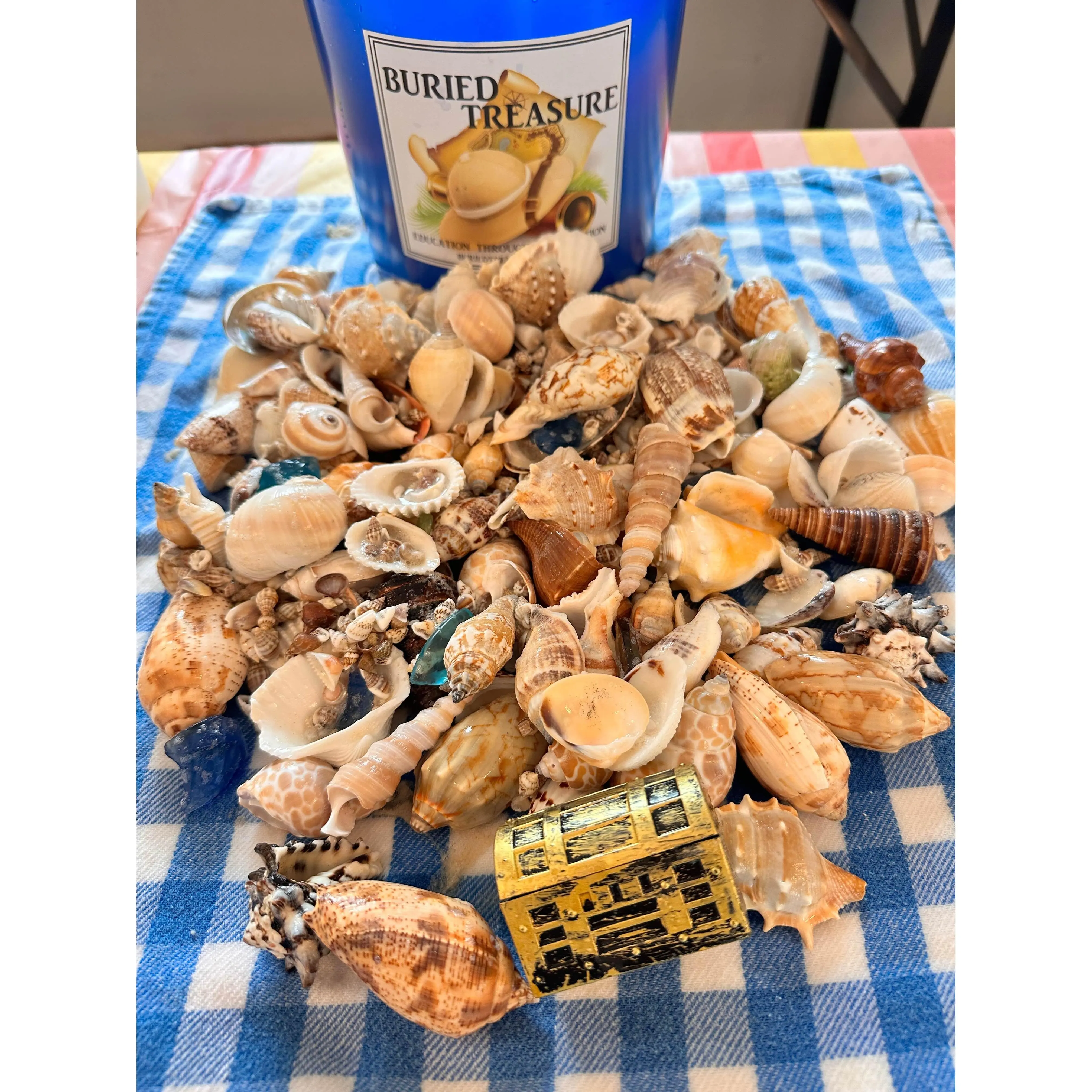 1 GALLON SEASHELL MINING BUCKET