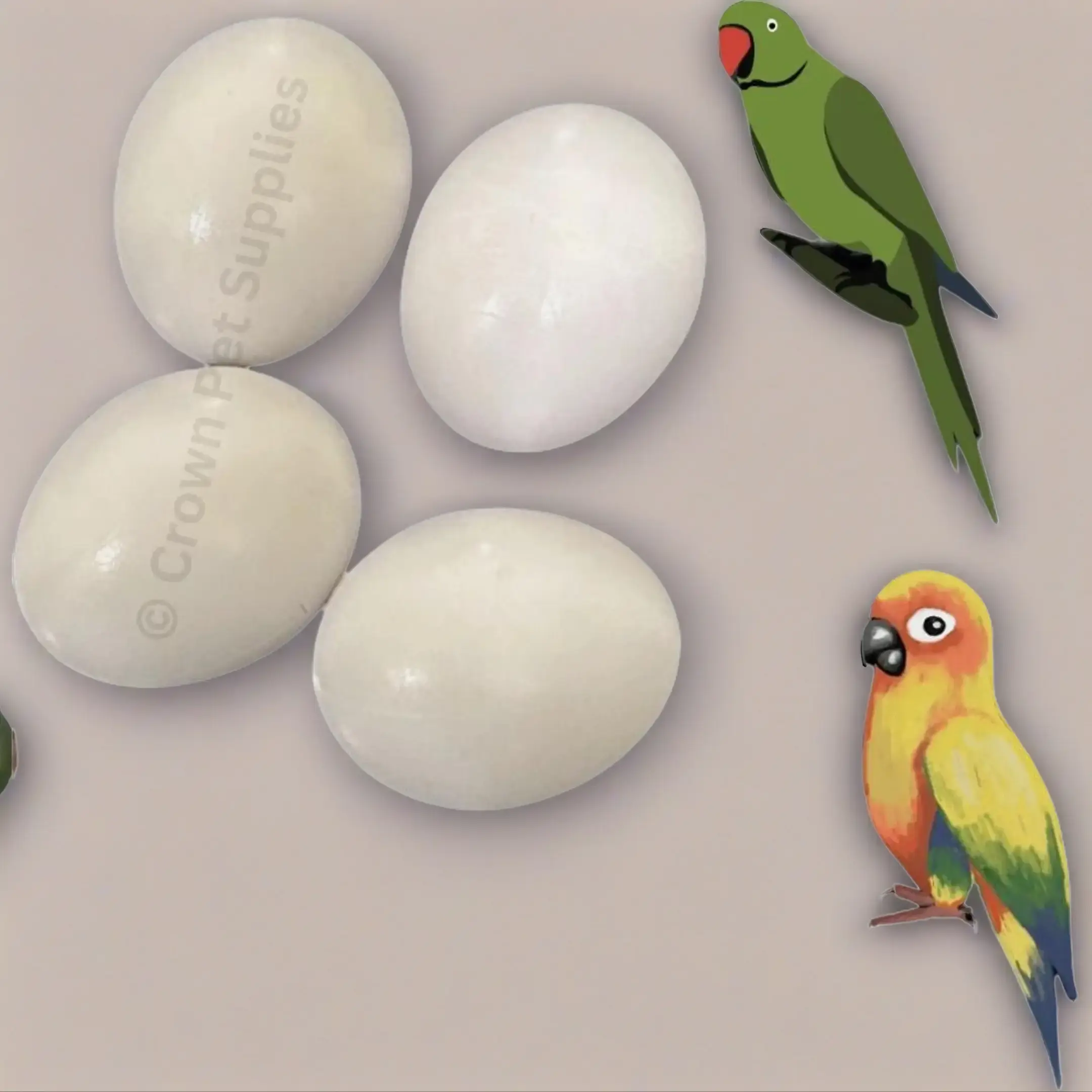 CONURES FAKE EGGS Solid Plastic FOR INDIAN RINGNECK, Dummy DOVE STOP LAYING Ct 4