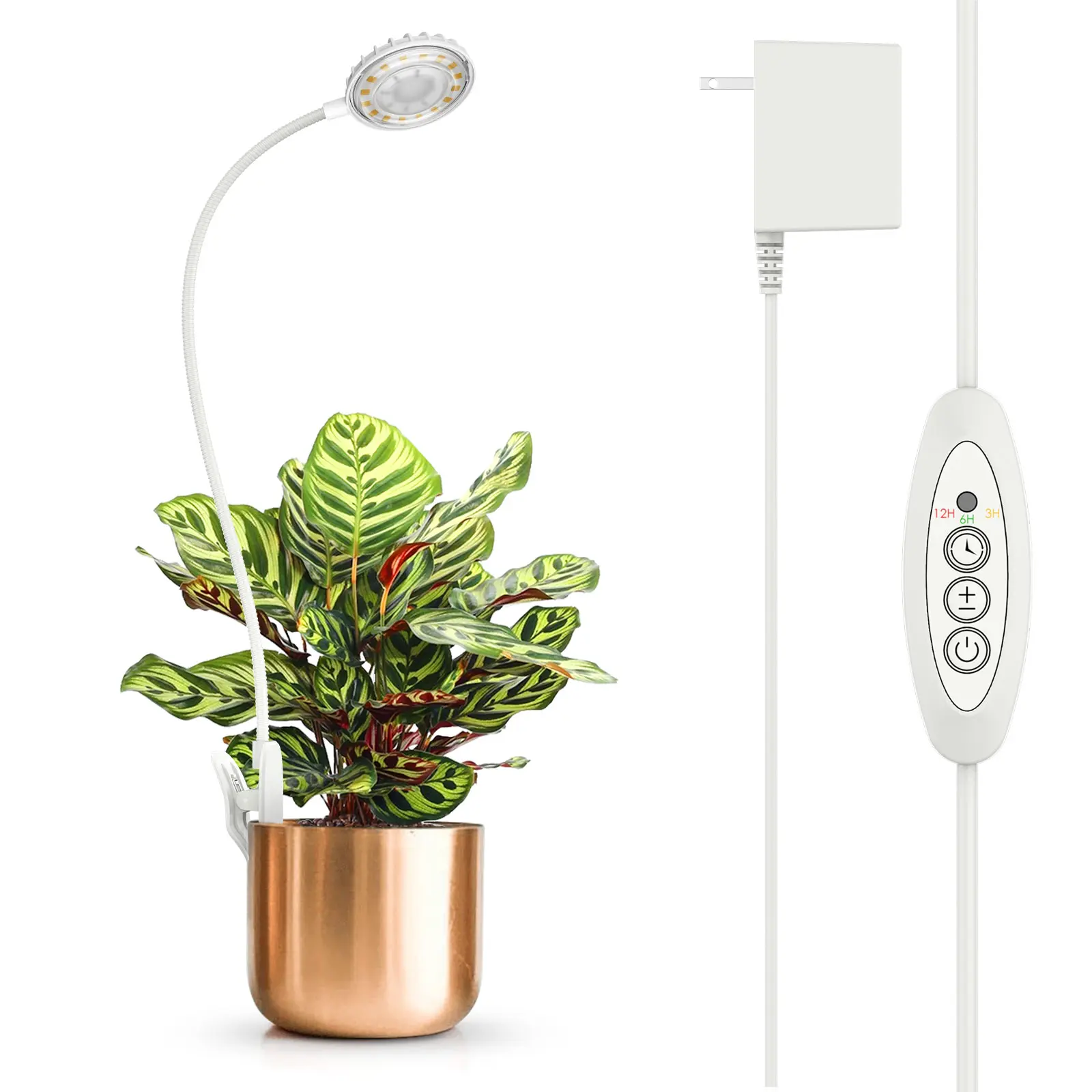 SANSI 5W Grow Lights for Indoor Plants, Pot Clip LED Plant Lights for Indoor Growing, Full Spectrum, Plant Lamp with 5-Level Dimmable, Auto On Off 3 6 12 Hrs Timer for Succulents, White, 5V – Springtok Your Plants with Colorful Spring Vibes