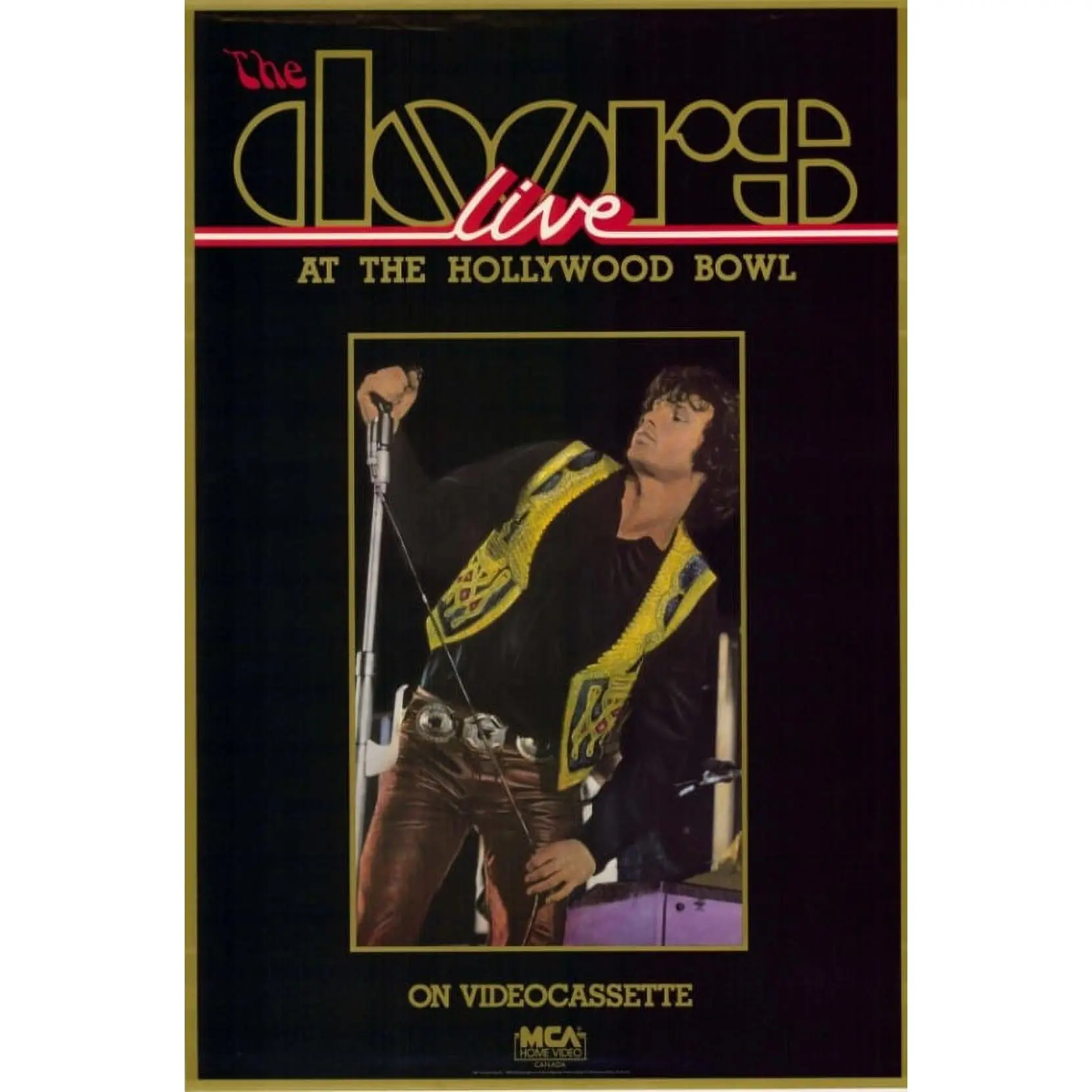The Doors Live at The Hollywood Bowl Movie Poster (11 x 17)
