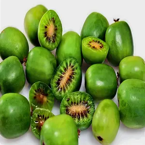 Issai Kiwi Seeds (Actinidia arguta) Arctic Grape Berry Superfruit Cold Hardy Fast Growing Vine Plant