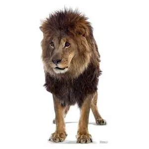 212 MAIN Advanced Graphics Large-Size Animal Decor Cardboard Standup - Home Supplies Cardboard Cutout for Animal Lovers, Fierce Look Design, Animal Lover