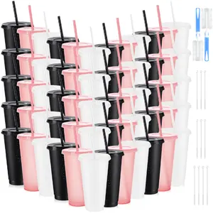 HILAKE 60pcs PP Water batters, reusable drinkware with lids, straws, cup brushes & straw caps. Ideal for birthday/graduation parties (as drink/juice cups), daily hydration, and gifting for Thanksgiving & St. Patrick's Day.