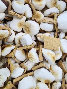 Freeze Dried S'mores