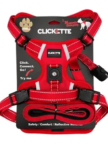 Clickette – Magnetic Quick-Lock Dog Leash and Harness