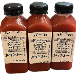 BlackBerry Mango Pineapple Lemonade Detox Juice 12 oz 3 Pack Bundle - Fresh Mint with Ginger & Lemonade, Fruit Drink - Beverage Vitamin