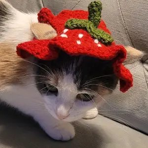 crochet strawberry cat hat