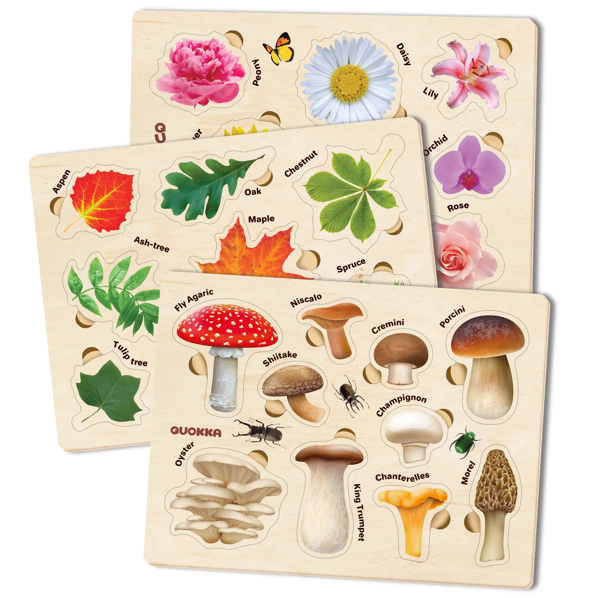 QUOKKA 3-Set Wooden Jigsaw Puzzles for 3-4 Years Old Beginners - Waterproof, Realistic Mushrooms & Leaves Designs, Nature Study Tool to Boost Development & Hand-Eye Coordination