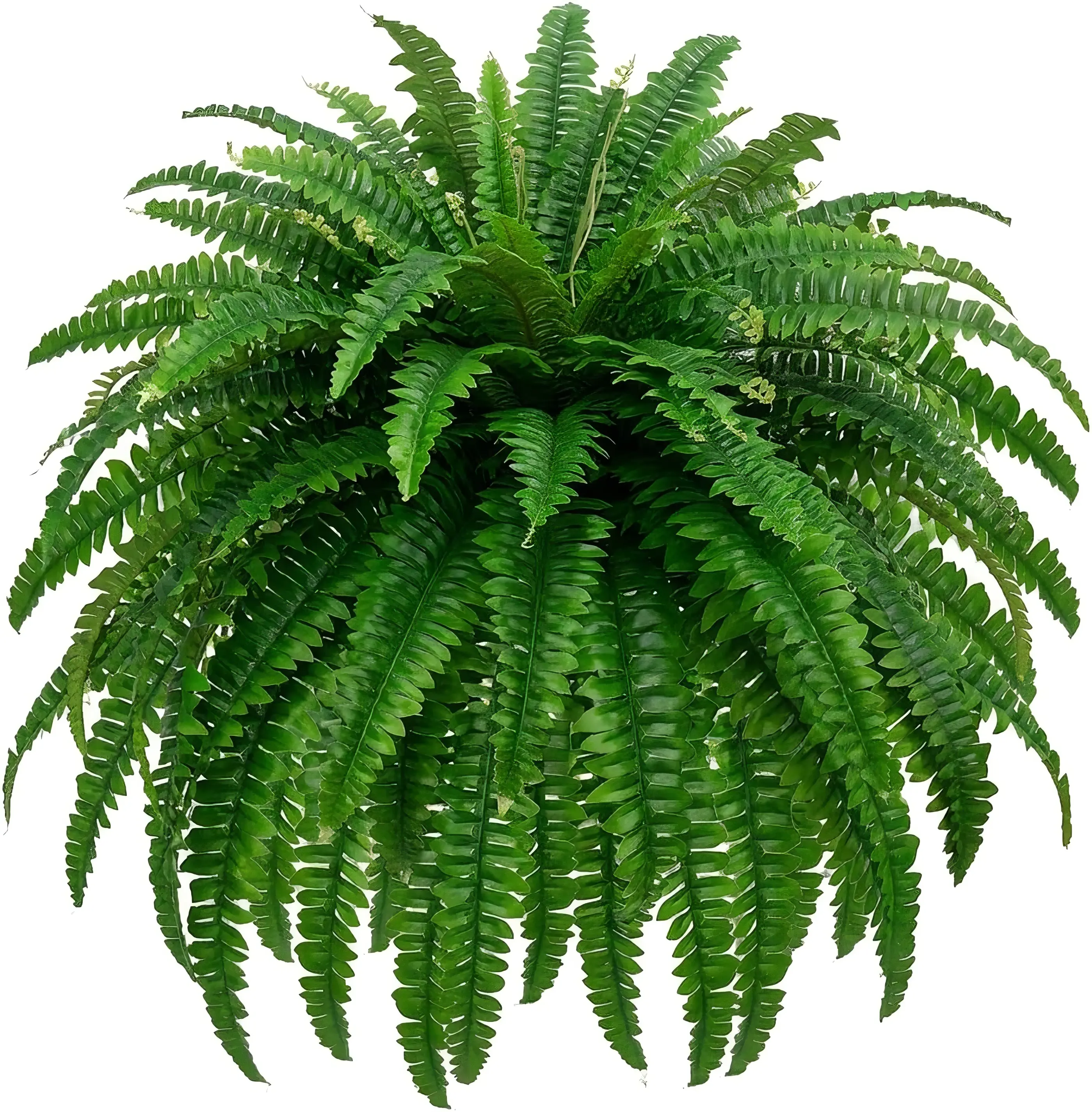 38 Leaves Large Artificial Boston Fern Plants for Outdoor Indoor, Fake Ferns for Front Porch Hanging, Faux Greenery Bushes for Home Garden Office Decor, Silk Fern with Realistic Fronds, 88 Branches