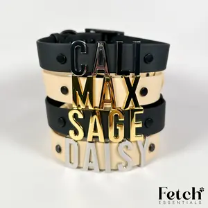 Custom Name Dog Collar - PVC Coated Nylon Webbing - Personalized Pet Name Tag - Adjustable Fit Design for Comfortable Wear - Gold & Silver Jewelry For Pets - Dog & Cat Accessory