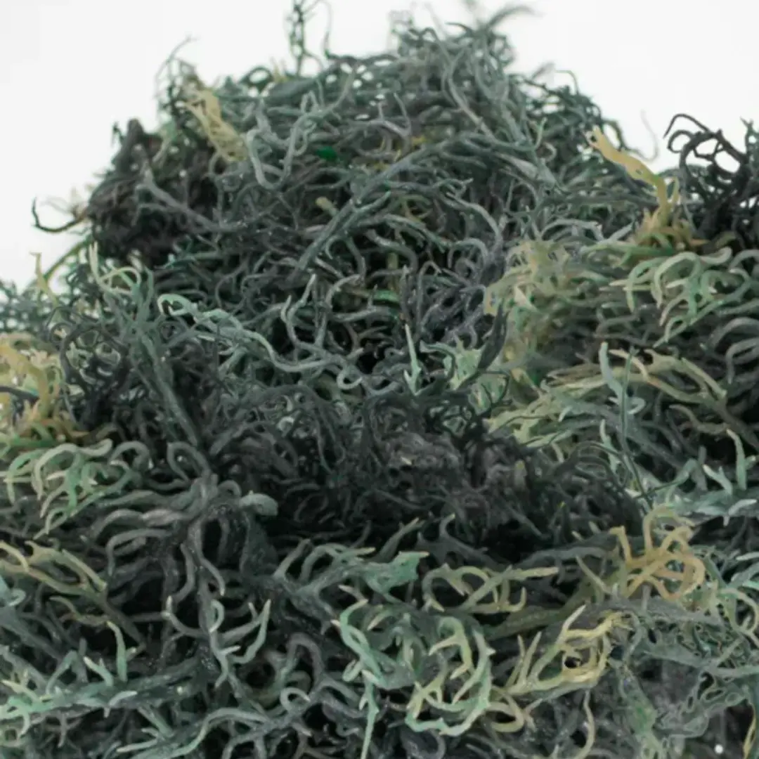 Wildcrafted Green Sea Moss - 1lb | St. Lucia | Raw Sundried | Multiple Use | Herb To Body