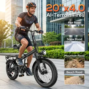 20-inch adult double-seat folding electric bicycle, equipped with a 700W high-speed motor, with a maximum speed of 20 miles per hour.