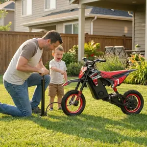 DK-12 Electric Bike for Kids Ages 3-10, 700W Peak Motor ebike Up to 15.5MPH 36V Battery 14 Mile Long-Range, 12'' Air Tires,3-Speed Modes Electric Bike for Kids