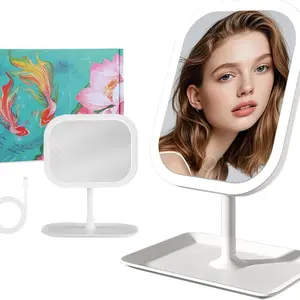 Rechargeable LED Lighted Makeup Mirror, Three Light Modes, Touch Function, Adjustable Brightness, USB Power, Portable Design