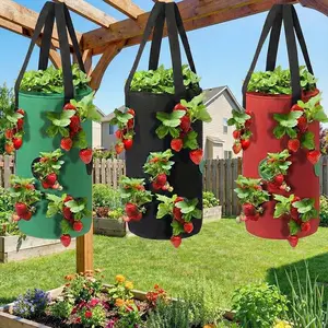 Hanging Strawberry Planter Bag, 12 Holes Upside Down Tomato Grow Bag with Reinforced Handles, Breathable Fabric Vertical Planter for Balcony and Patio Garden, Hanging Planters, Single Pack ([Insert Color: Black/Red/Green])