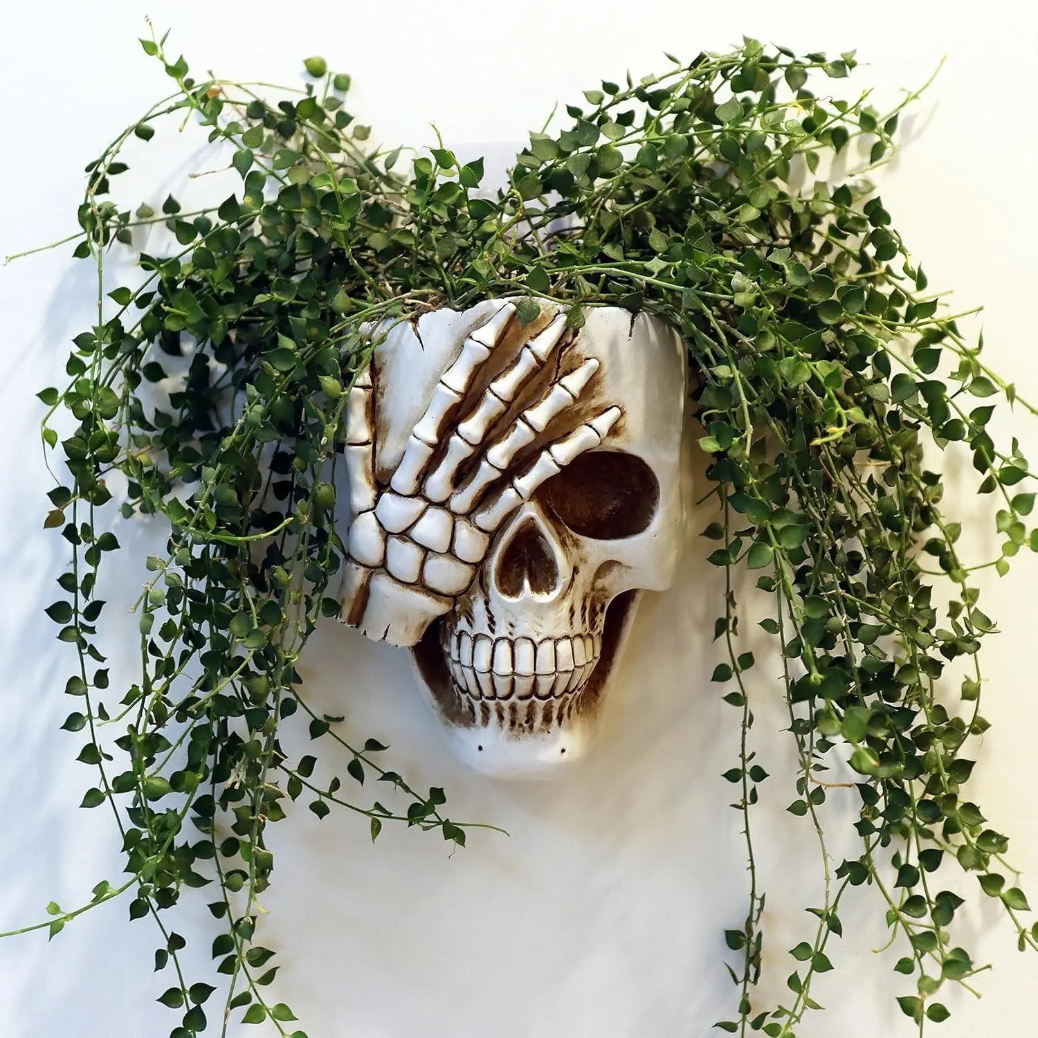 Skull Wall Planter for Home Décor, Resin Skeleton Gothic Planter for Indoor Outdoor Plants Decorations