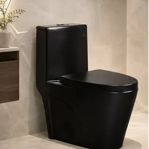 Black Ceramic One-Piece Toilet, Dual-Flush 1.1/1.6 GPF Water-Efficient Elongated Comfort Height Floor Mounted Standard-Size Toilet with Soft Closing Seat, ADA Compliant, Siphon Flush, MaP 1000g, for Bathroom, Black Color Options
