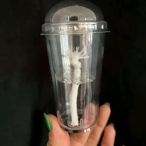 Clear Self Watering Corm Cups with Dome Lids Propagation Colocasia Consistent Moisture Cotton Wick Plant Garden Sprayer
