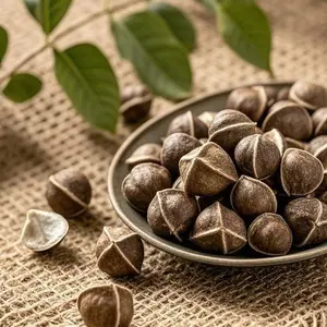 50Pcs Moringa Seeds – Moringa Oleifera Tree Seeds for Home Garden Planting