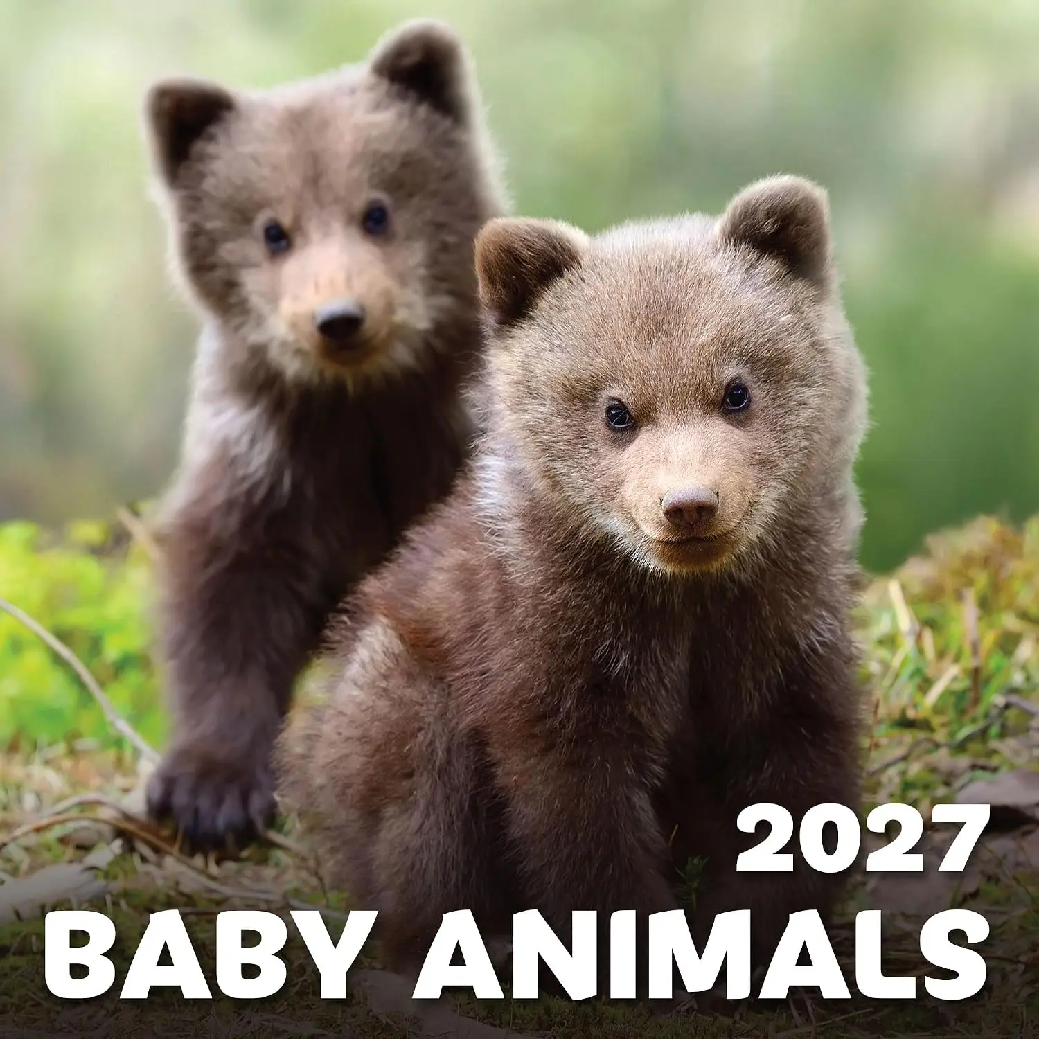 EcoEarth - 11x17 Inch Open 2027 Monthly Calendar - 12-Month Vertical Hanging Wall Calendar - Jan 2027 to Dec 2027 - Baby Animals