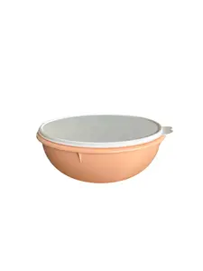 Bowl Mix Coral and Ivory Lid - Simple Product with Given Features