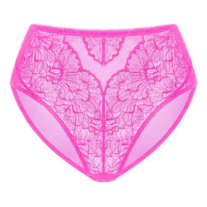HSIA Blossom Comfortable Mesh Soft Sexy Lace Panty Women Underwear High-Rise Brief