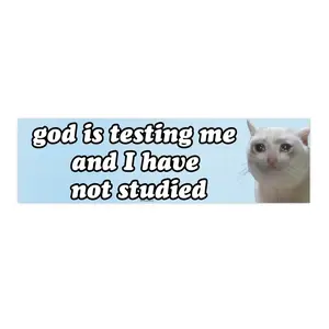 God is testing me and I have not studied  | Bumper Sticker AND Magnet | Funny Meme Sticker | 8.7'' X 2.7'' | Waterproof Premium Quality